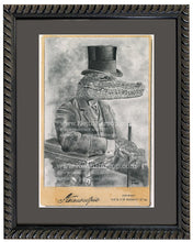 Load image into Gallery viewer, Anicurio #15 (Alligator)© - Pencil Illustration