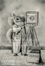 Load image into Gallery viewer, Anicurio #50 Squirrel (Pencil art)