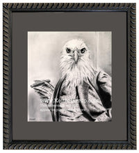 Load image into Gallery viewer, Anicurio #30 © (Eagle) - Pencil drawing