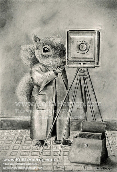 The little squirrel behind the curtain