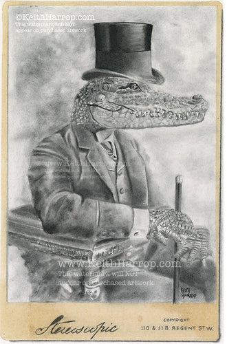 Anicurio #15 (Alligator)© - Pencil Illustration