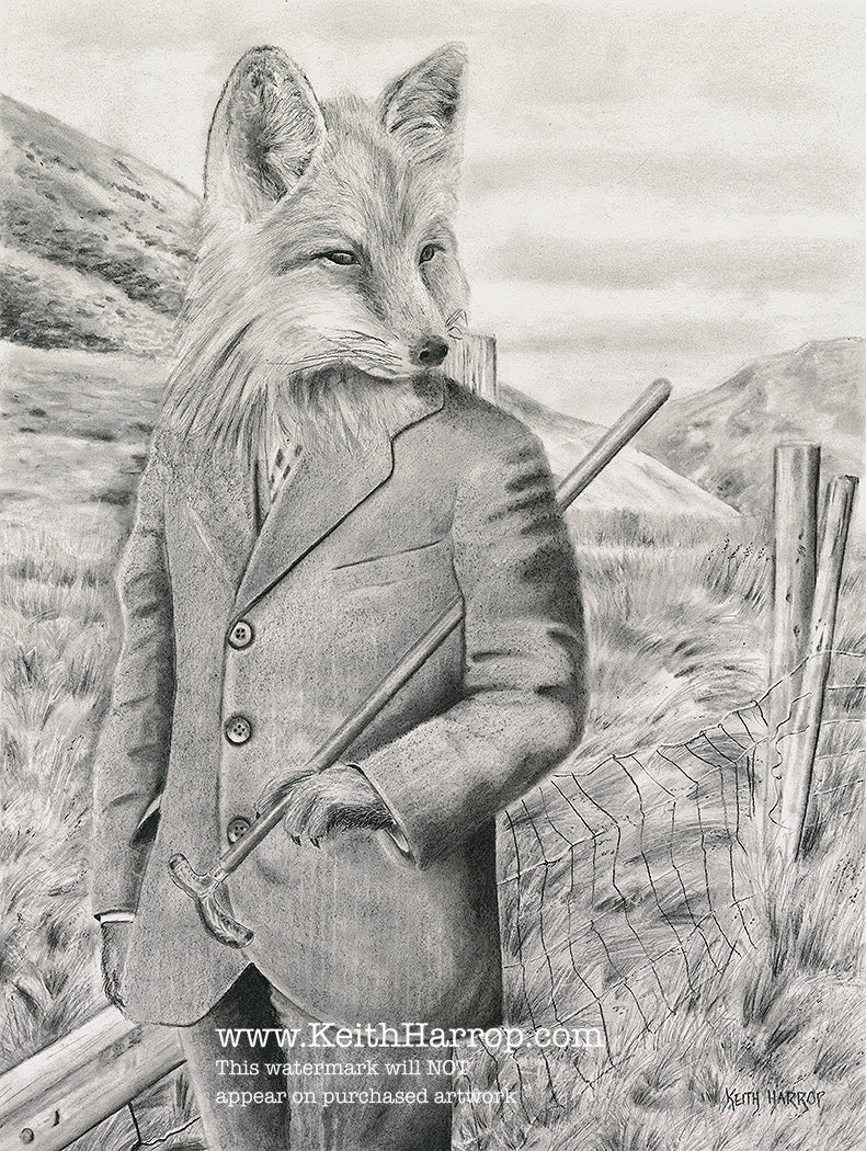 Anicurio #44 (Country Fox) - Pencil Illustration