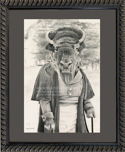 Anicurio #45 (Bison)© - Pencil Illustration