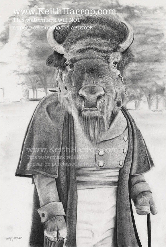 Anicurio #45 (Bison)© - Pencil Illustration