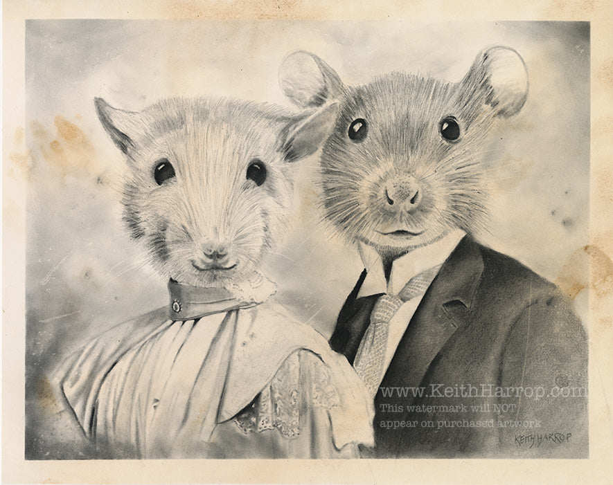 Anicurio #46 (Rat Couple)© - Pencil Illustration