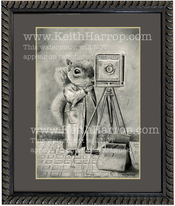 Anicurio #50 Squirrel (Pencil art)