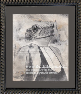 Anicurio #6 (Toad)© - Pencil Illustration