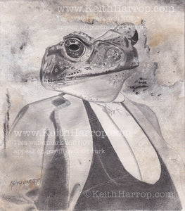 Anicurio #6 (Toad)© - Pencil Illustration