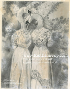 Anicurio #8 (Two Swans)©  - Pencil Illustration