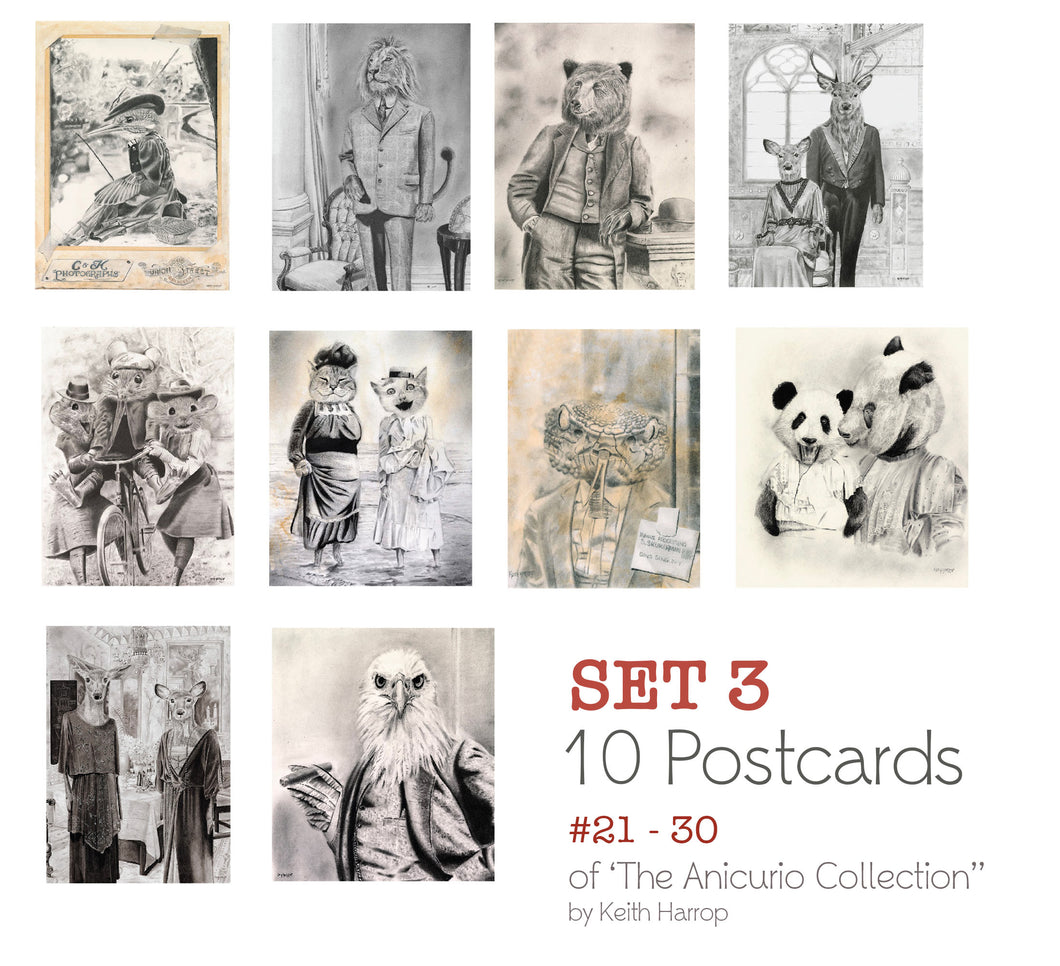 Postcards: SET 3 - 10 Assorted cards. 21 thru 30 of the Anicurio® collection of Pencil Illustrations