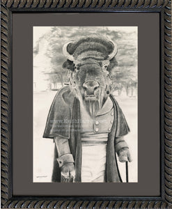 Anicurio #45 (Bison)© - Pencil Illustration