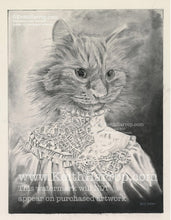 Load image into Gallery viewer, Anicurio #17 (Victorian Cat)©   - Pencil Illustration