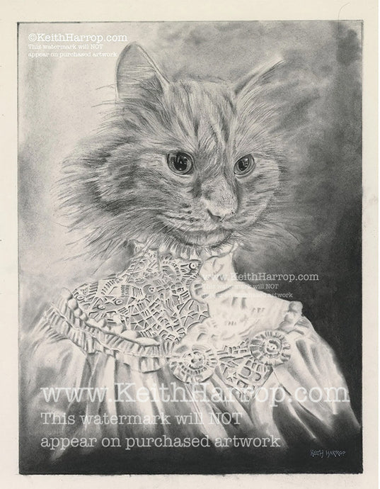 Anicurio #17 (Victorian Cat)©   - Pencil Illustration