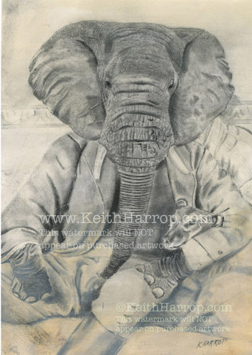 Anicurio #4 (Elephant)©  - Pencil Illustration