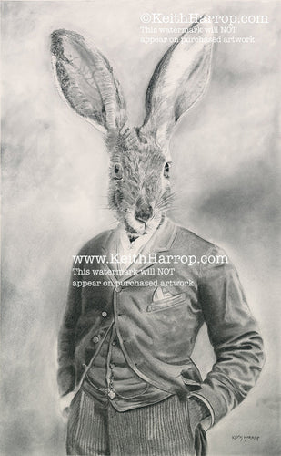 Anicurio #18 (Hare)©  - Pencil Illustration