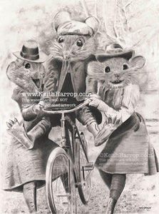 Anicurio #25 Mice on a bike© - Pencil Illustration