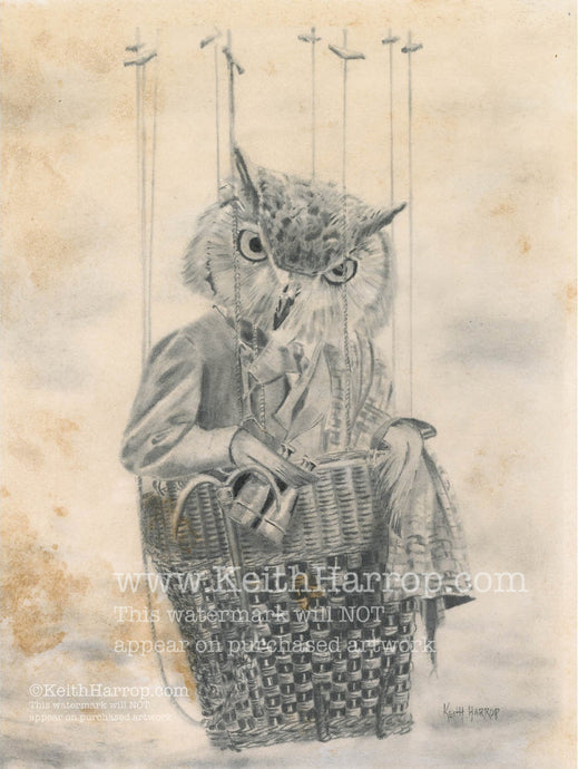 Anicurio #10 (Owl)© - Pencil Illustration