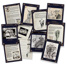 Load image into Gallery viewer, Coffee Table Book - &#39;The Anicurio Collection&#39;