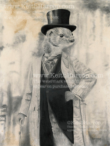 Anicurio #9 (Weasel)©  - Pencil Illustration