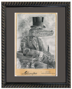 Anicurio #15 (Alligator)© - Pencil Illustration