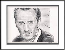 Load image into Gallery viewer, Peter Cushing - Penci Illustration