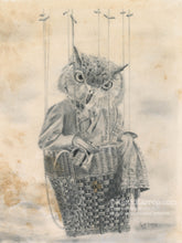 Load image into Gallery viewer, Anicurio #10 (Owl)© - Pencil Illustration