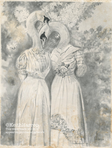 Anicurio #8 (Two Swans)©  - Pencil Illustration