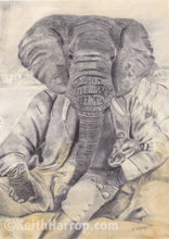 Load image into Gallery viewer, Anicurio #4 (Elephant)©  - Pencil Illustration