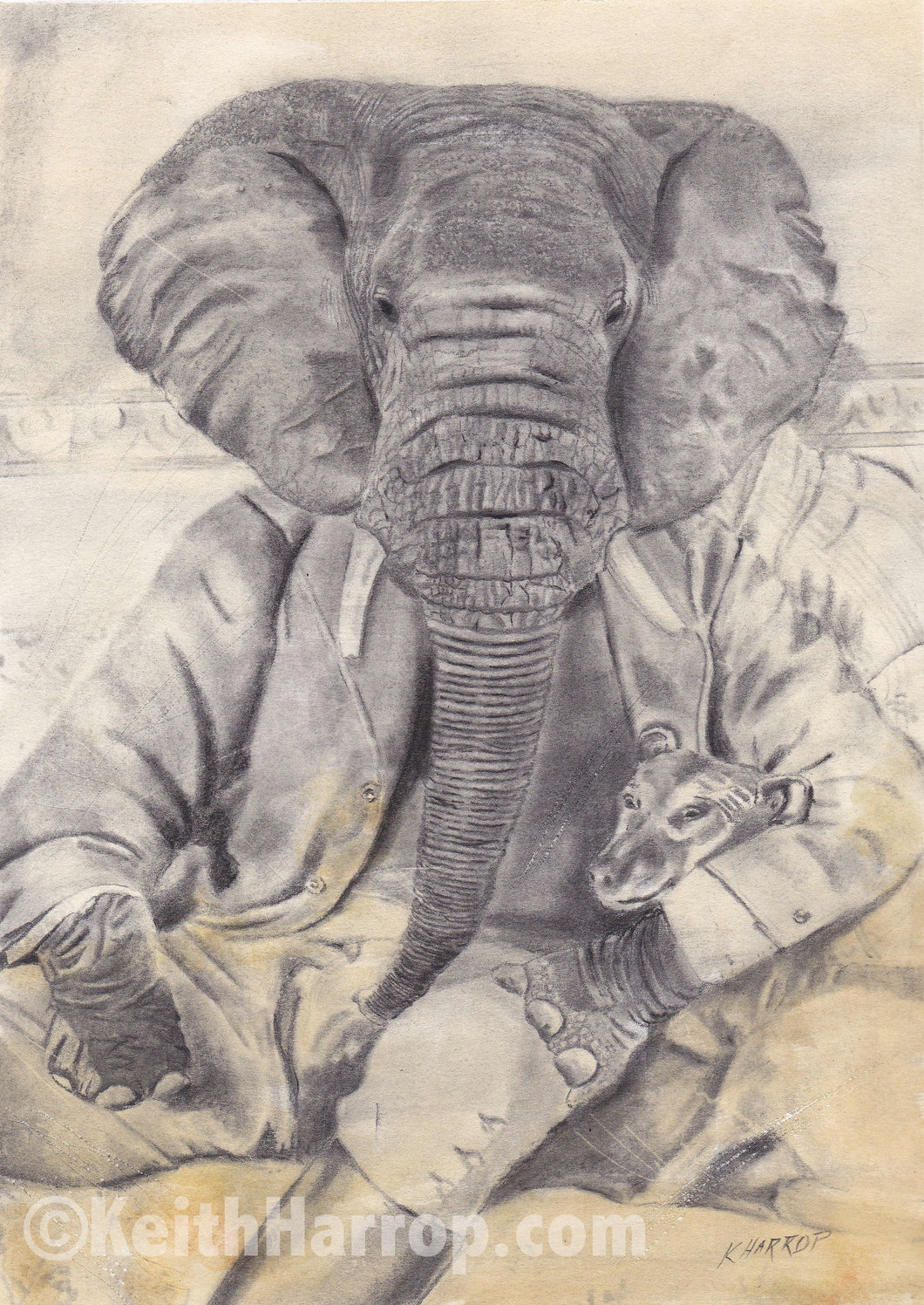 Anicurio #4 (Elephant)©  - Pencil Illustration