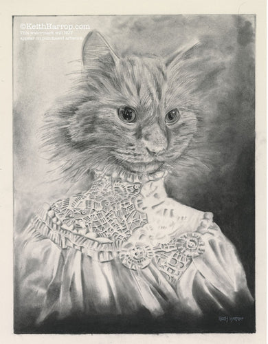 Anicurio #17 (Victorian Cat)©   - Pencil Illustration