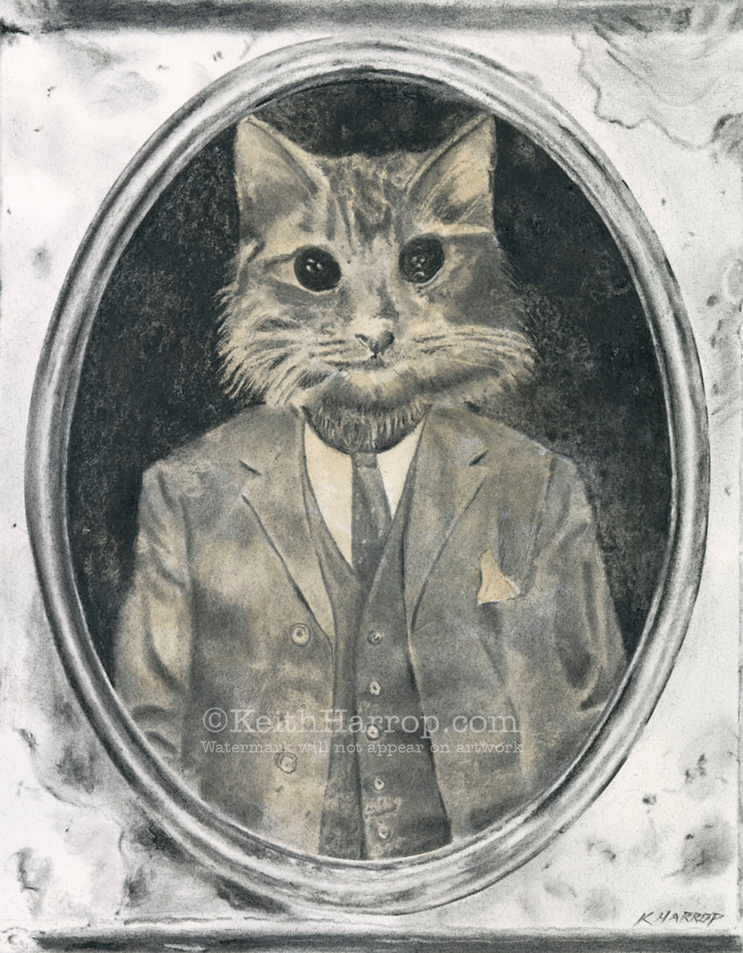 Anicurio #1 (Cat)© - Pencil Illustration