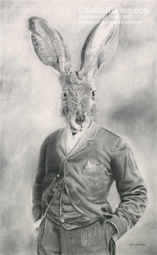Anicurio #18 (Hare)©  - Pencil Illustration