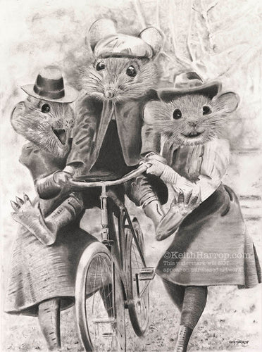 Anicurio #25 Mice on a bike© - Pencil Illustration