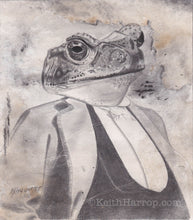 Load image into Gallery viewer, Anicurio #6 (Toad)© - Pencil Illustration